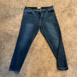 Democracy absolution Capri jeans